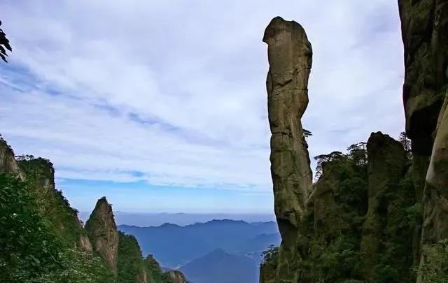 碧峰峡自然遗产大熊猫栖息地,世界自然遗产中国大熊猫栖息地