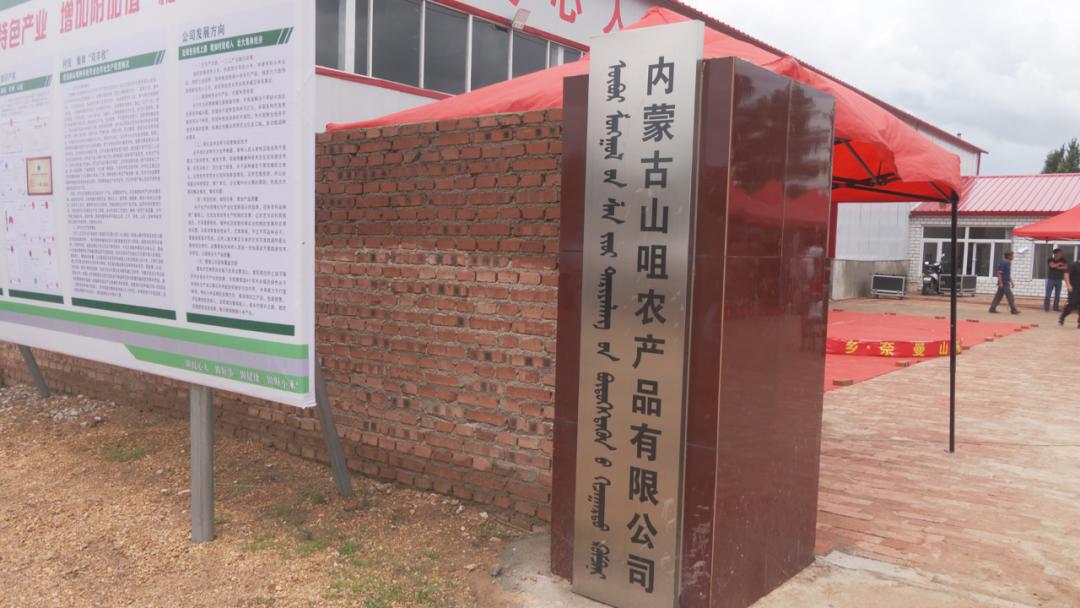 辛巴开启直播带岗招聘新模式，通辽：奈曼山嘴小米直播专场启动