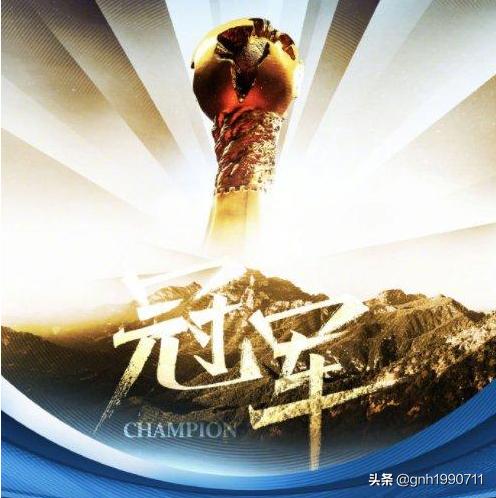 中超金元泰山,山东泰山2010夺得中超冠军