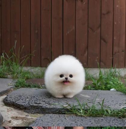 不浮躁的标准,不要再浮躁的社会