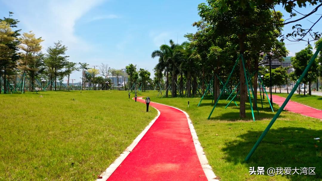 珠海春游赏花,珠海周边踏青景点