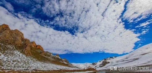 西海情歌写歌的背景,西海情歌的创作时间