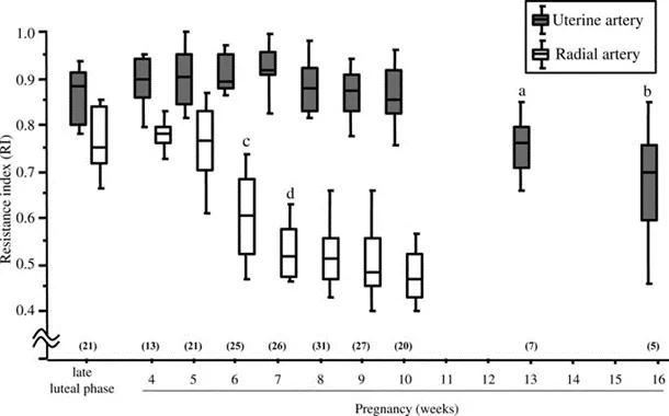 子宫动脉血流如何检测,子宫病变科普