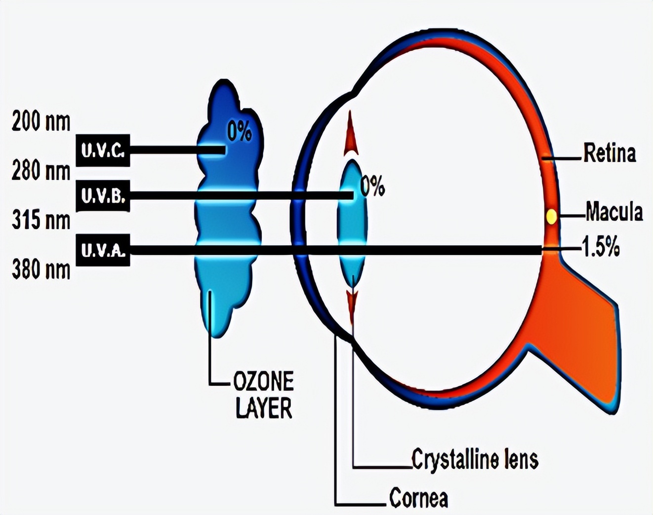 开车墨镜什么颜色最护眼,开车想防晒最好用什么颜色的墨镜