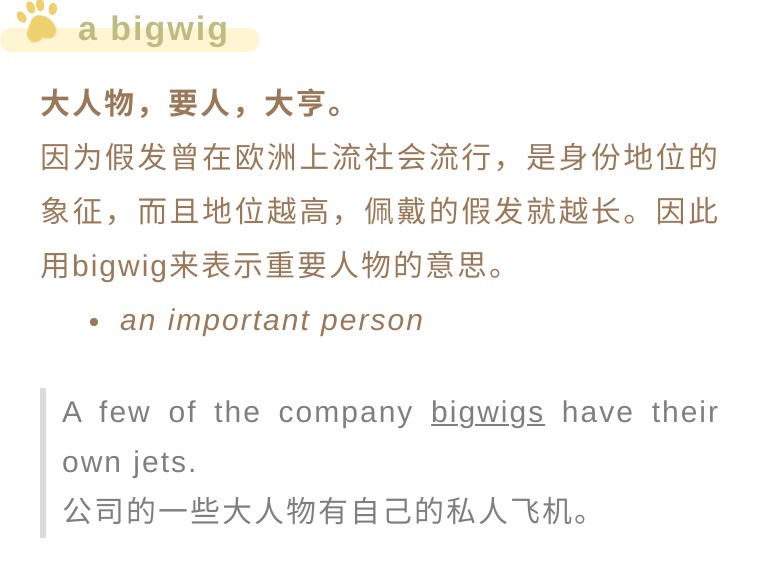 英国律师假发颜色区别,为什么英国律师有假发