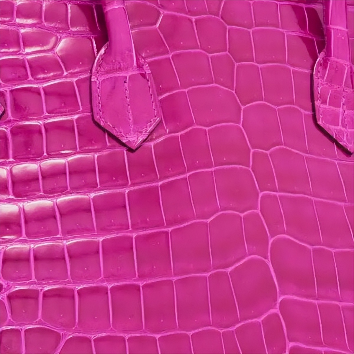 爱马仕皮革是怎么取材,爱马仕品牌小知识