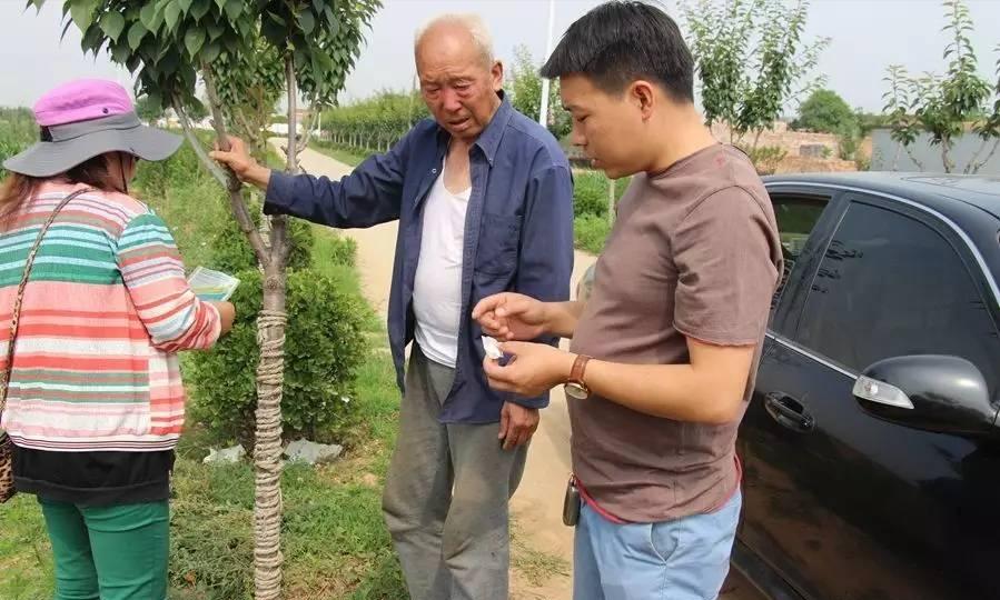 农业绿色植保技术,农业植保技术推广