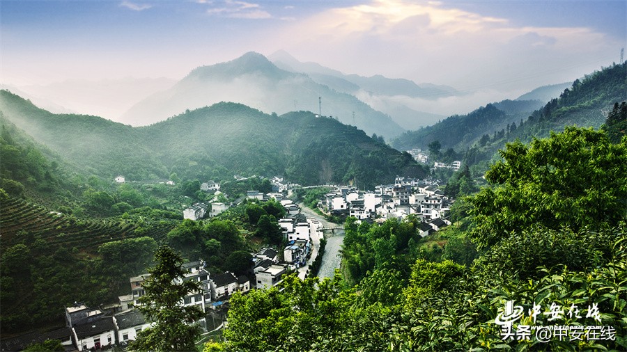 安徽茶博会谢裕大,谢裕大和徽府茶行