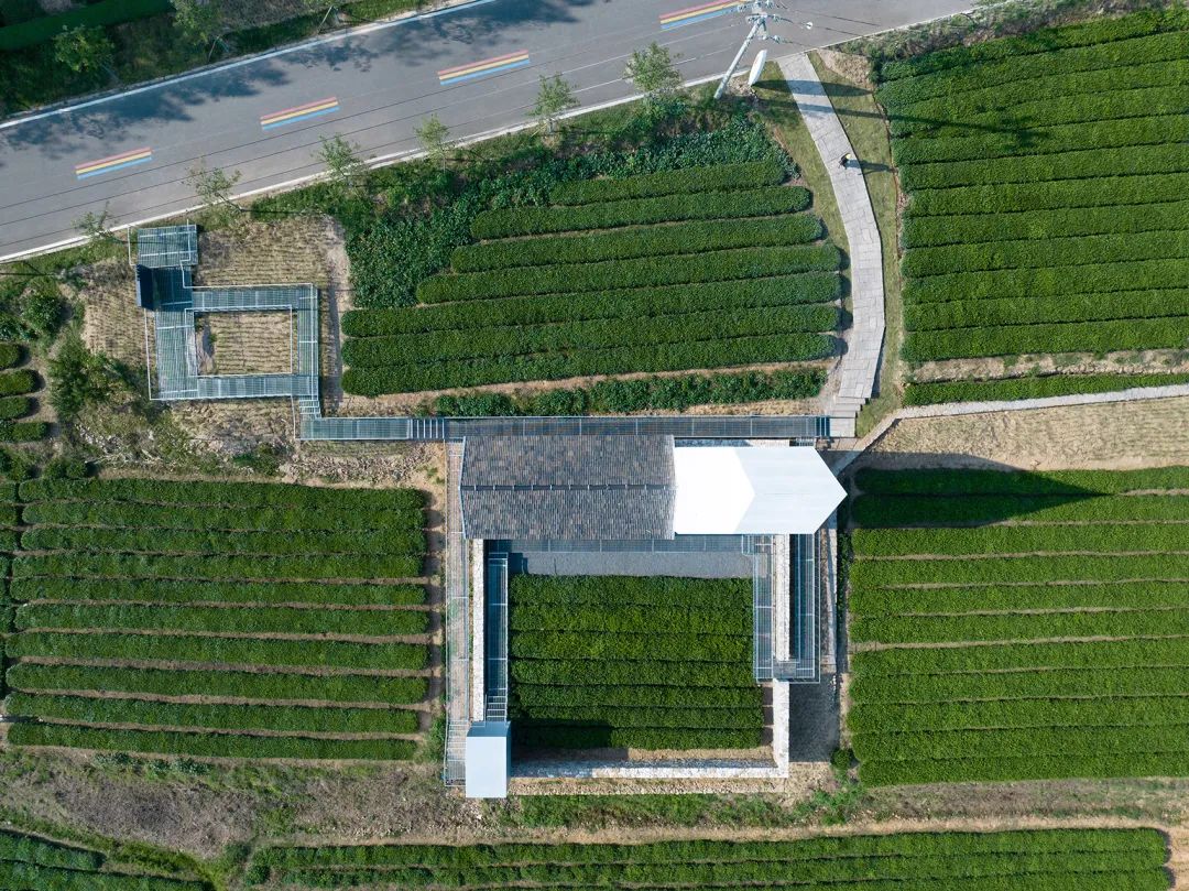 中国茶申遗成功吗,中国茶申遗成功44项名单