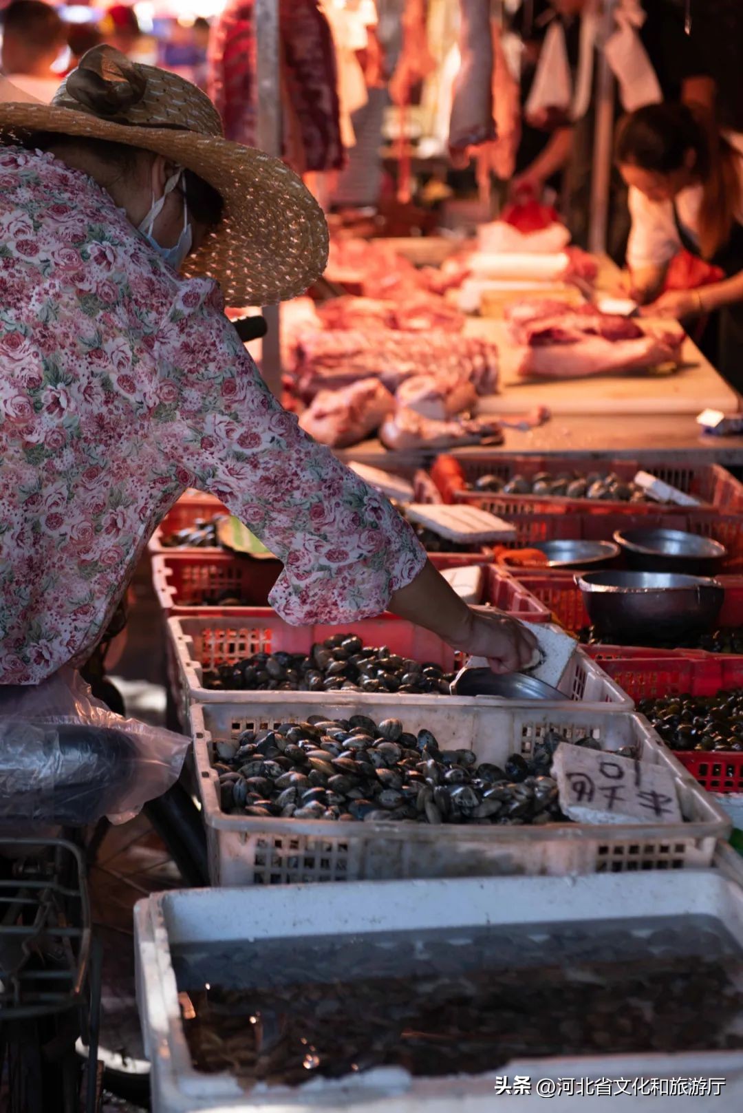 现在海鲜哪种最好吃,现在的海鲜哪个最好吃