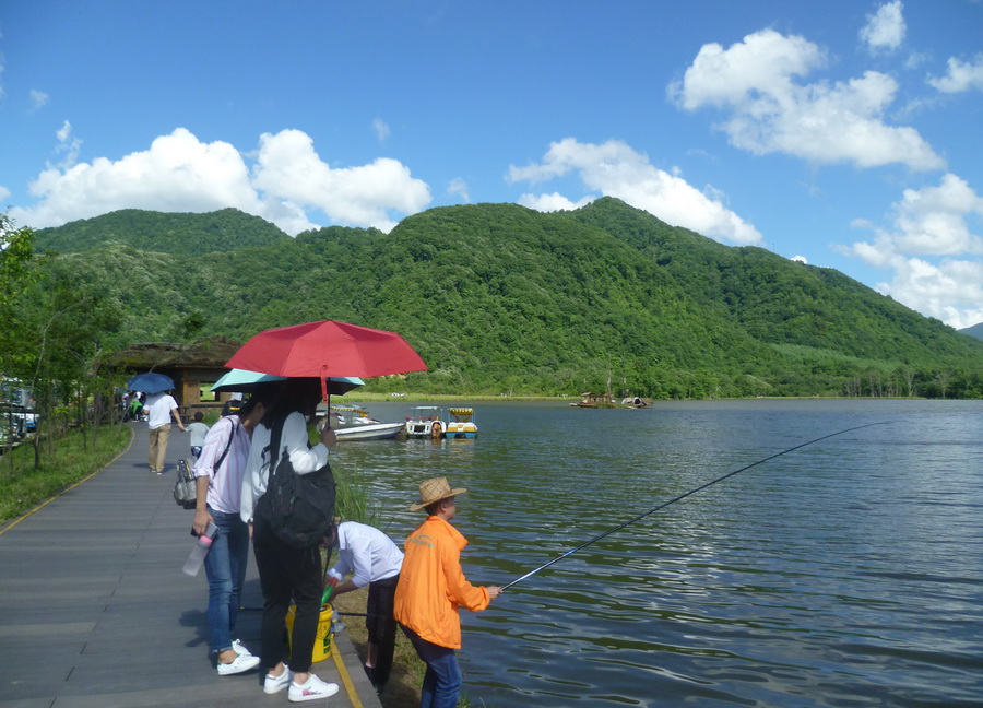 带你欣赏大九湖的美景,大九湖之旅