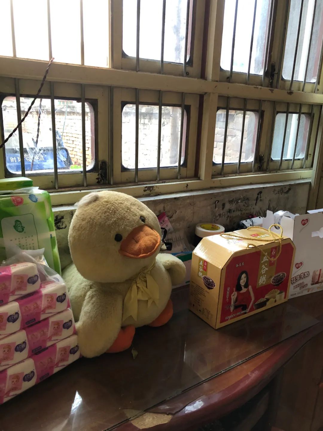 平原上的娜拉小说在哪里可以看,平原上的娜拉是什么意思