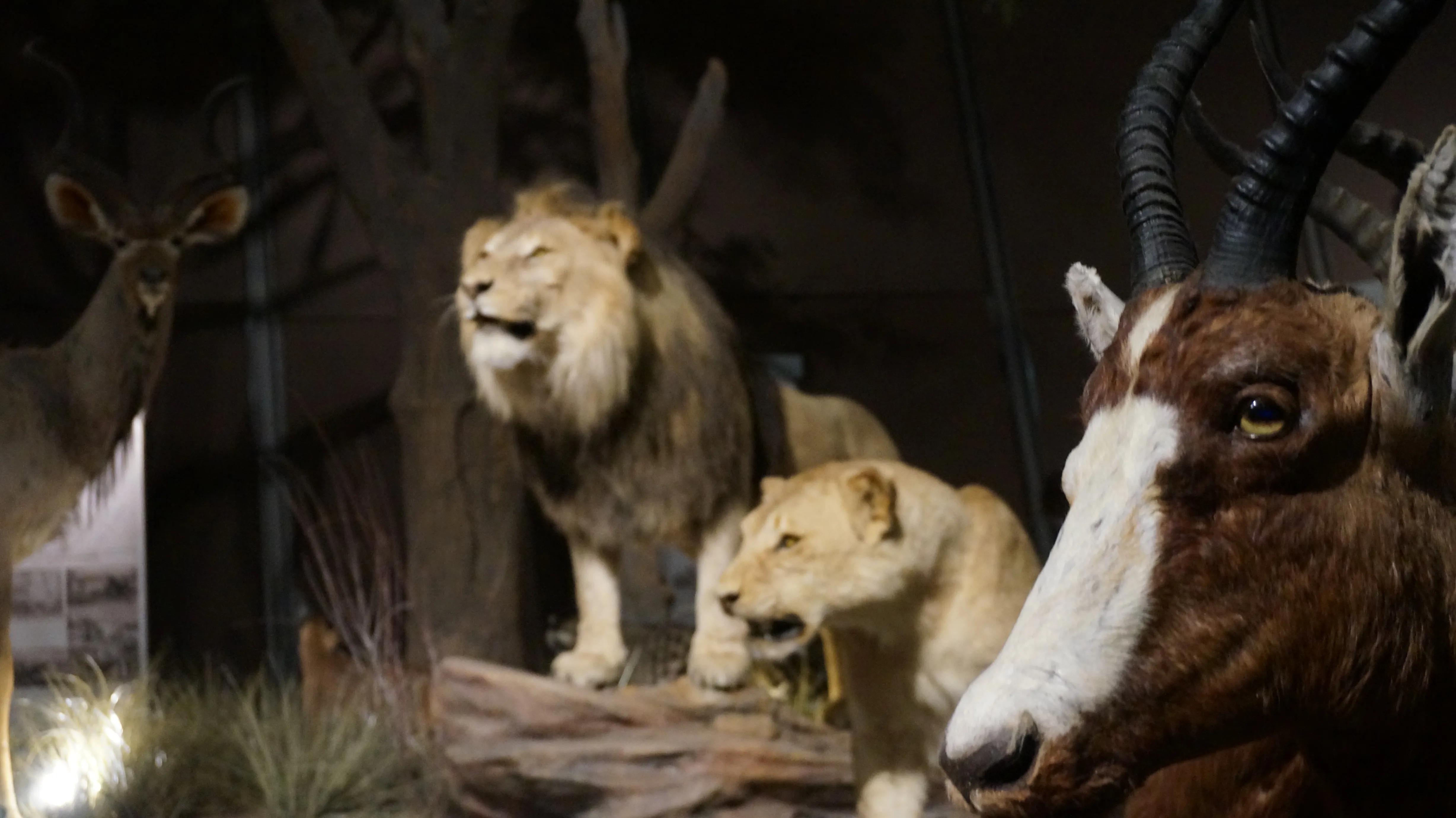 天津2天1晚游攻略夏天,天津2天1夜游攻略