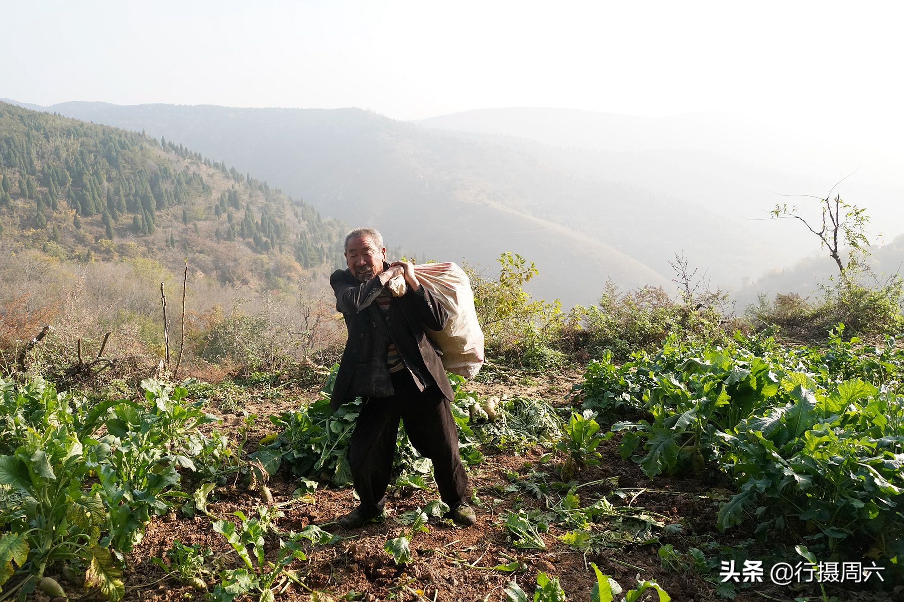 山西大叔占山为王40年后的生活,77岁农民大叔占山为王
