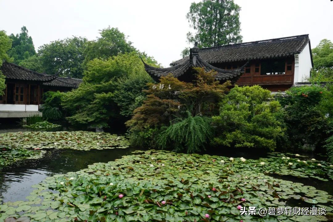 长沙第一波赏荷地图,杭州夏日赏荷地图