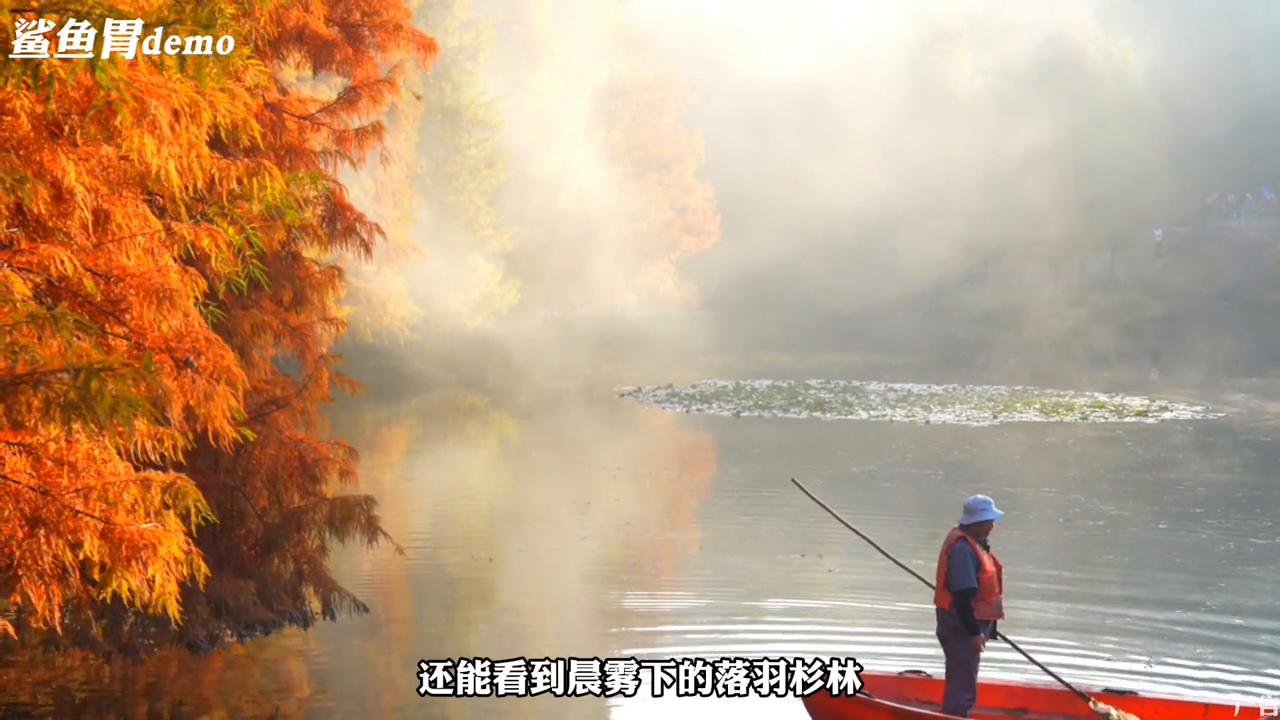 南京钟山风景区一日游最佳路线,南京钟山旅游一天必玩三大景点