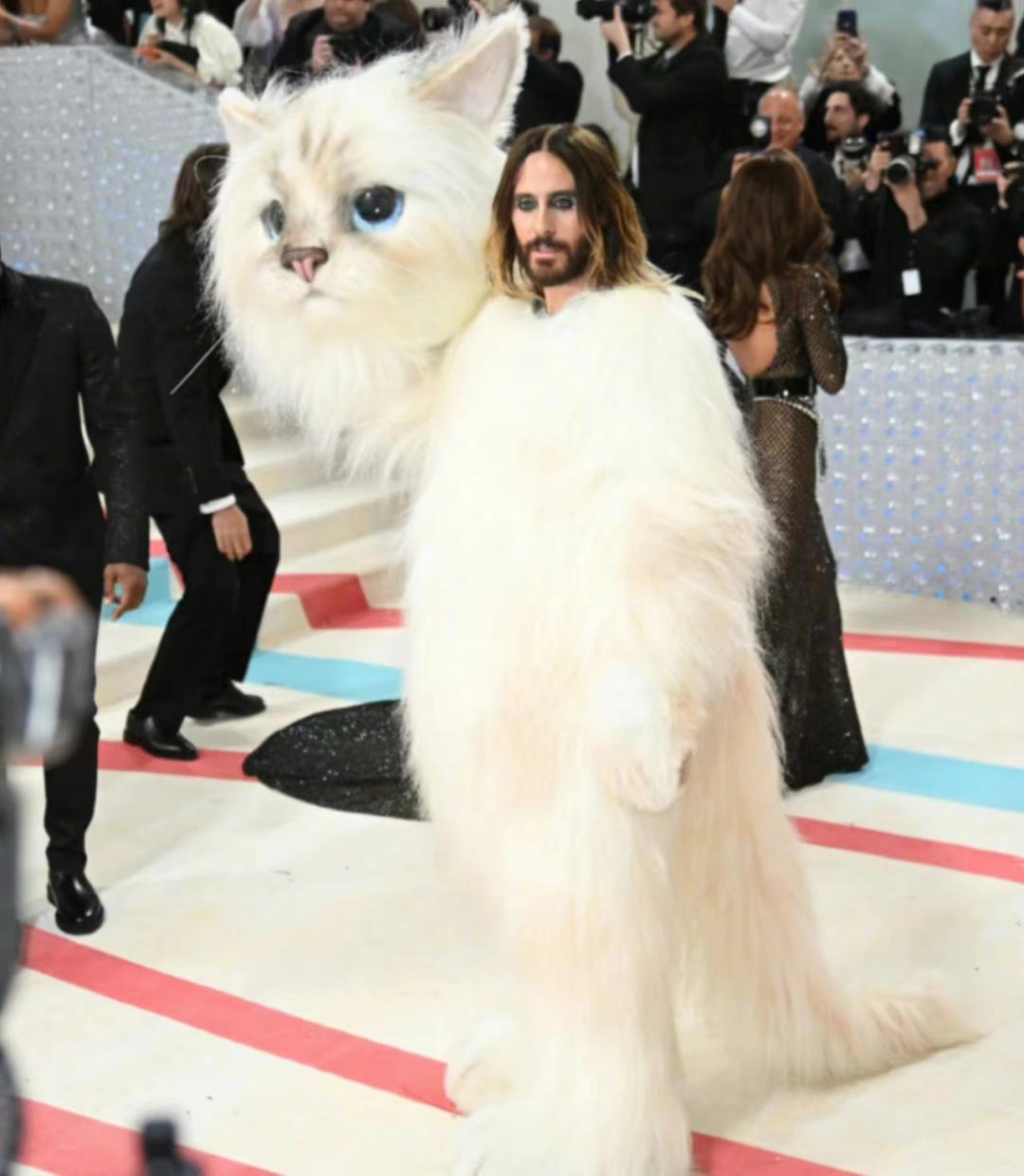 时尚界奥斯卡走秀,时尚界奥斯卡