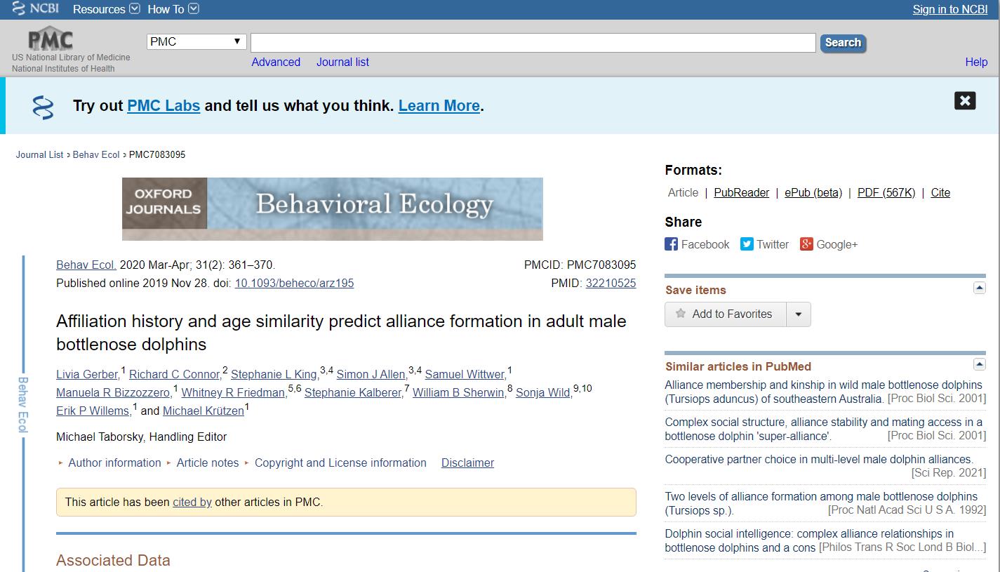 海豚怎么交配？科学家：它们极具侵略性！生殖器某处与人类很相似