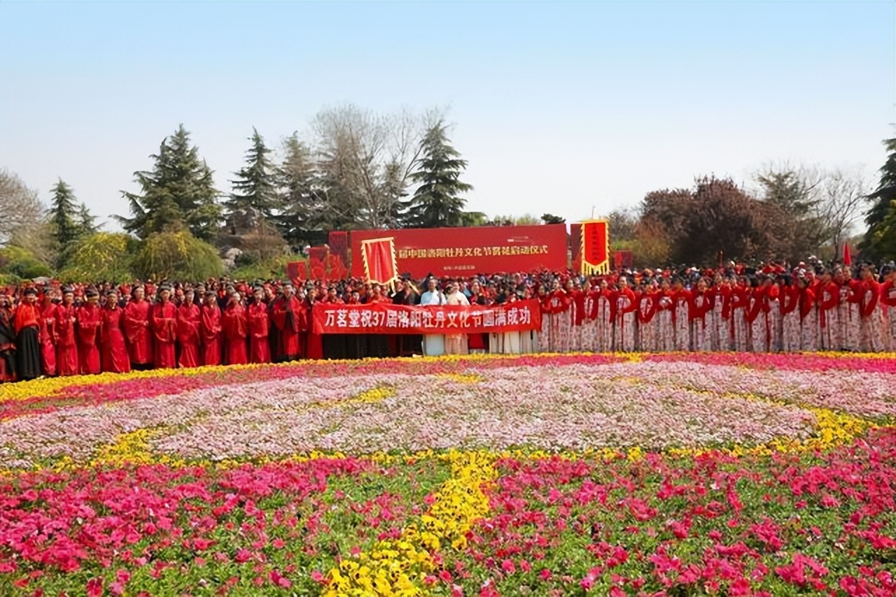 文化酒·万茗堂点亮洛阳最美之夜，应天门灯光秀万人共赏