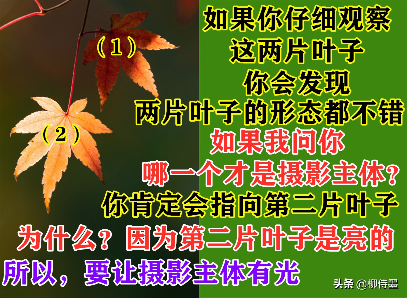 拍照不好看只要学会这些小技巧,摄影大师教你拍照技巧