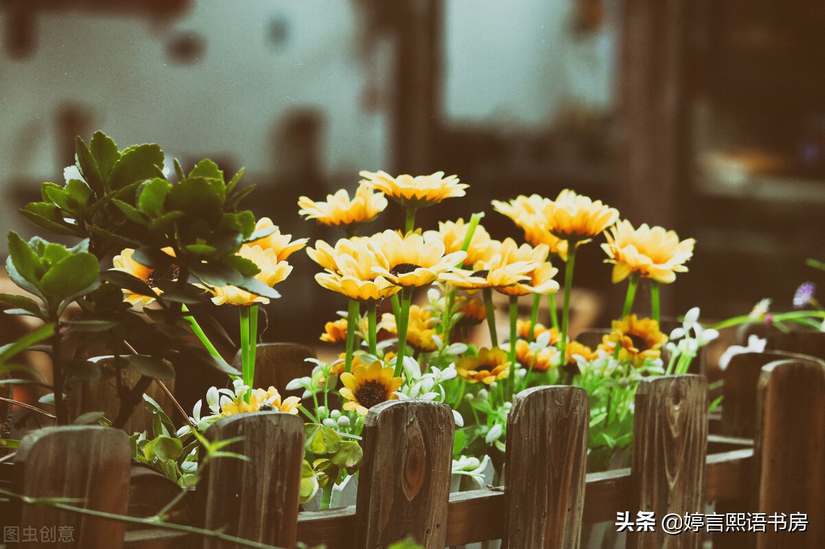 百年孤独人物关系为什么这么复杂,百年孤独全书解读人物关系图