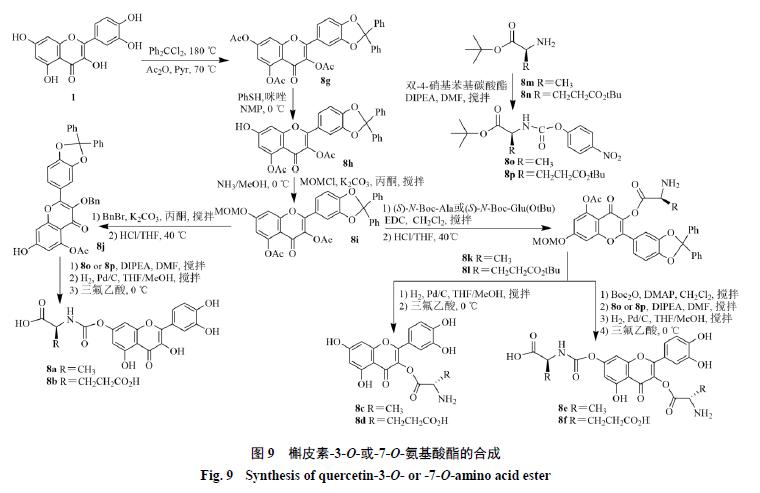 槲皮素的氧化机理,槲皮素的有关药物活性成分