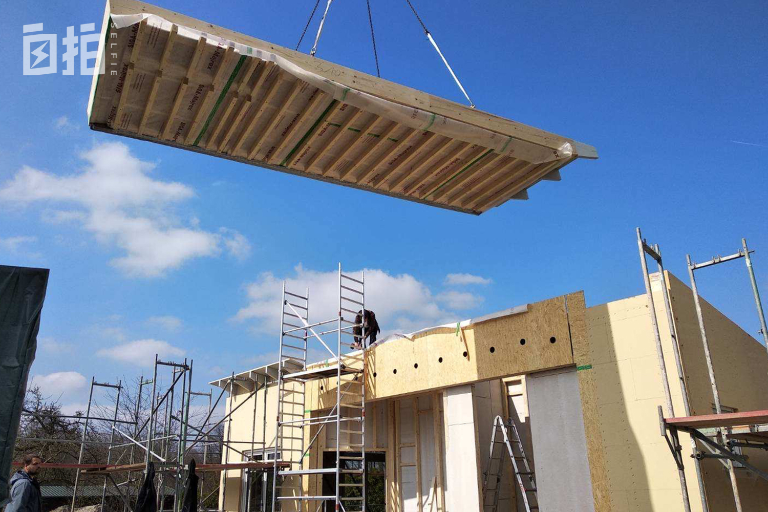 河南硕士生在德国当木匠,去德国做木匠