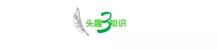 令全网窒息的“给妈妈送花遭厌恶”事件，暴露出多少不合格的父母