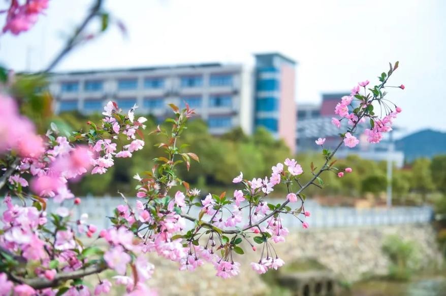 进步神速!2023软科中国大学排名公布,武汉知名大学1年跃升40名