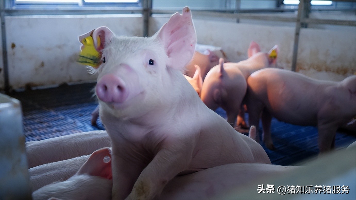 只靠一张嘴很难获得信任,仅凭一张嘴卖了房子