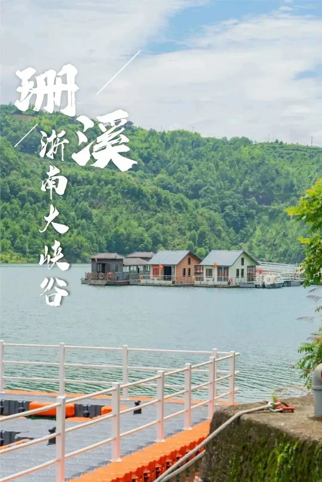 带你们体验摘杨梅的乐趣,酸酸甜甜的杨梅有谁陪我一起采摘