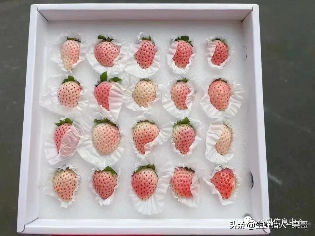 在水果中浆果是分哪几种,水果分类浆果