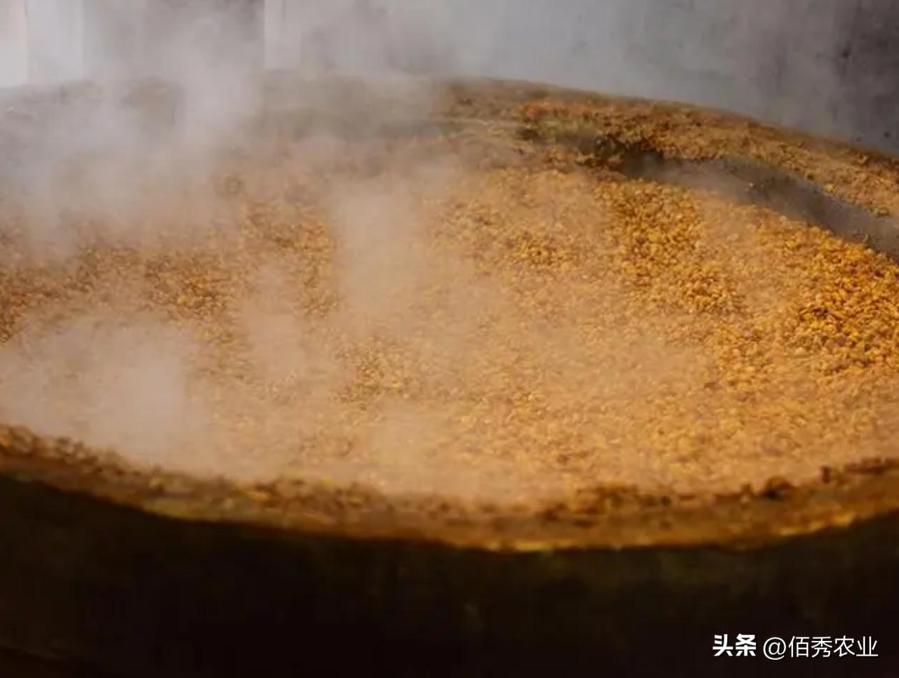 酿酒利润有多少,自己酿酒一百斤酒能赚多少钱