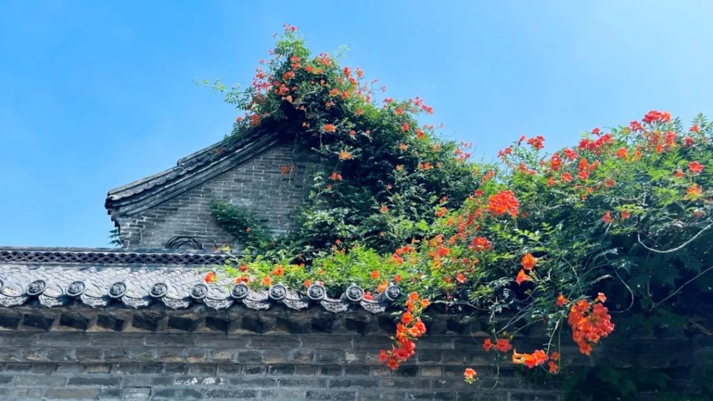 齐乐游|半价，免费！暑假结束前，最不能错过的目的地！边玩边收心