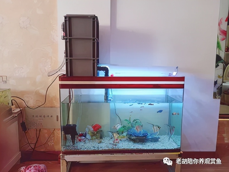 周转箱过滤好不好用,周转箱做过滤教程