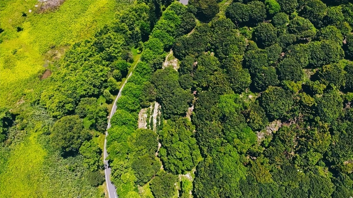 湾区光影魅力,南沙湾区超美风景线