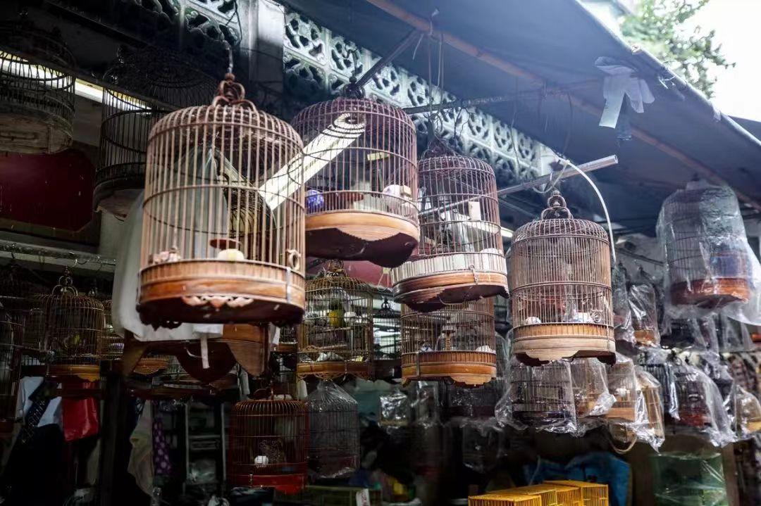 香港美食天堂旺角,香港旺角美食打卡地