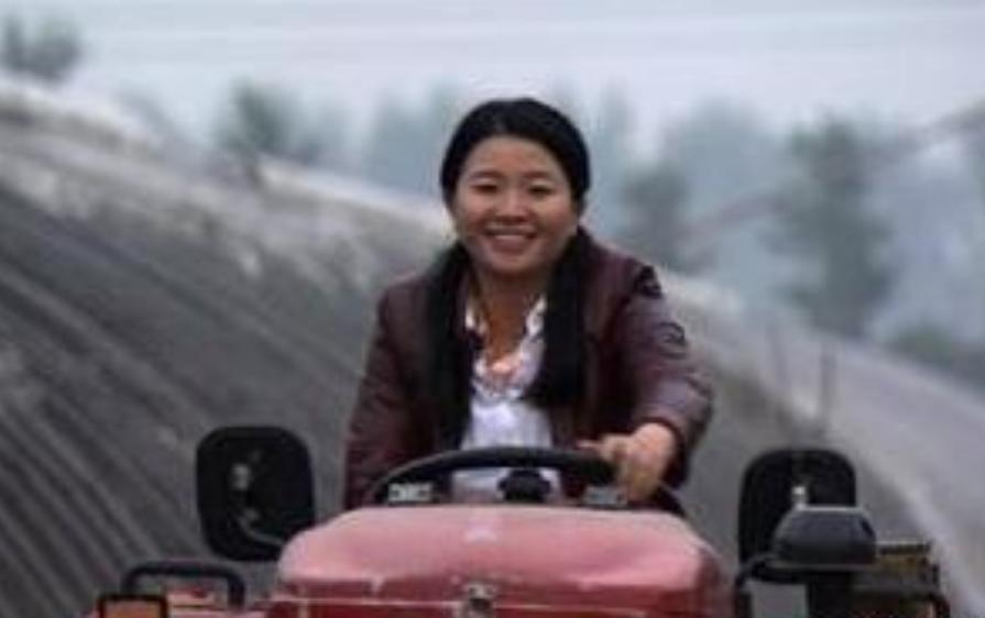 女博士放弃百万年薪回农村种梨,女博士放弃年薪两百万回乡种茶