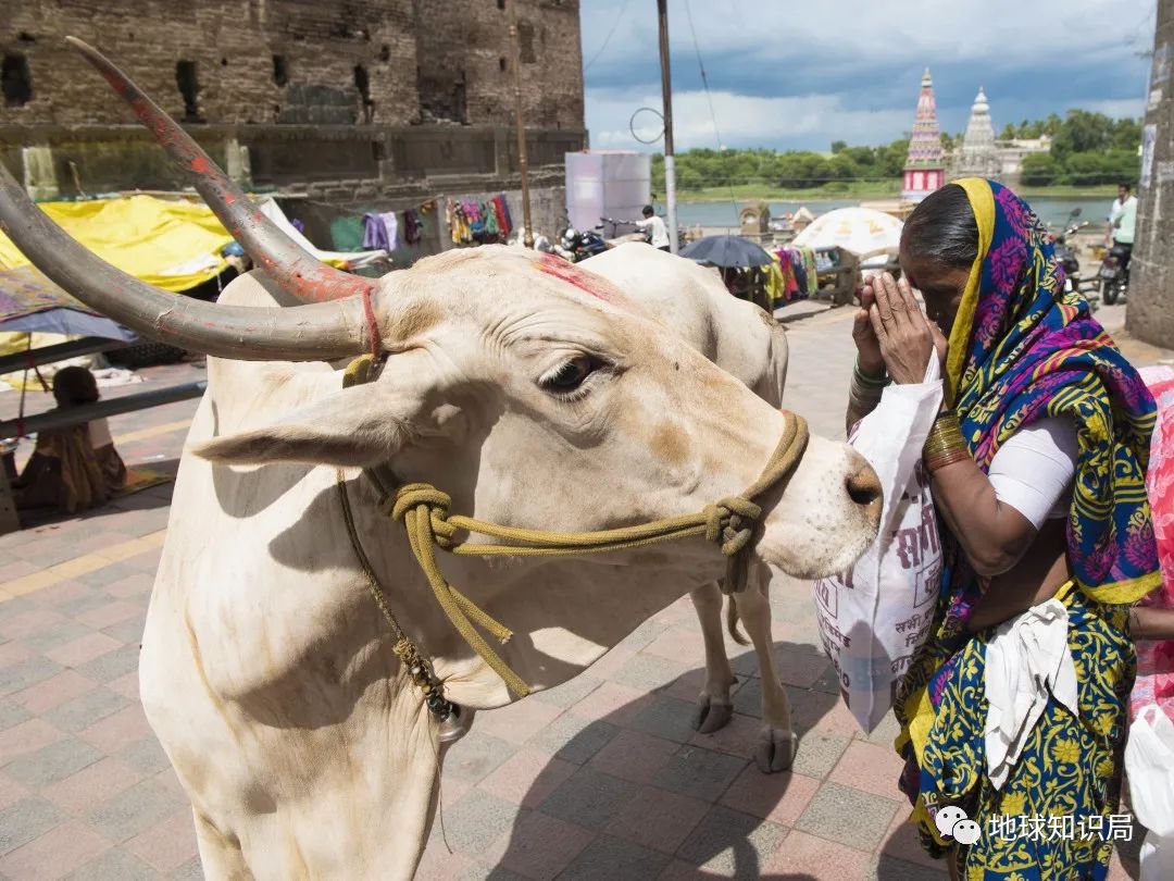印度的宗教迷信有多严重,印度的迷惑行为