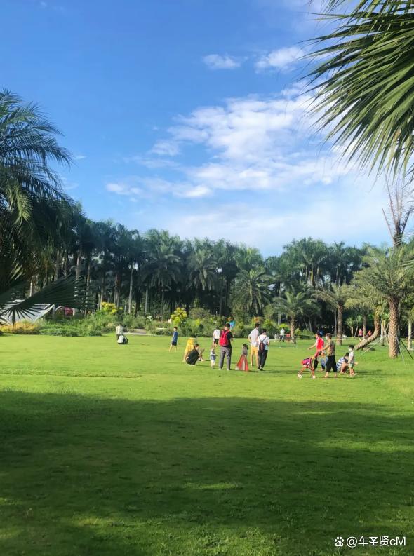 深圳莲花山公园风景,深圳人气最旺的公园