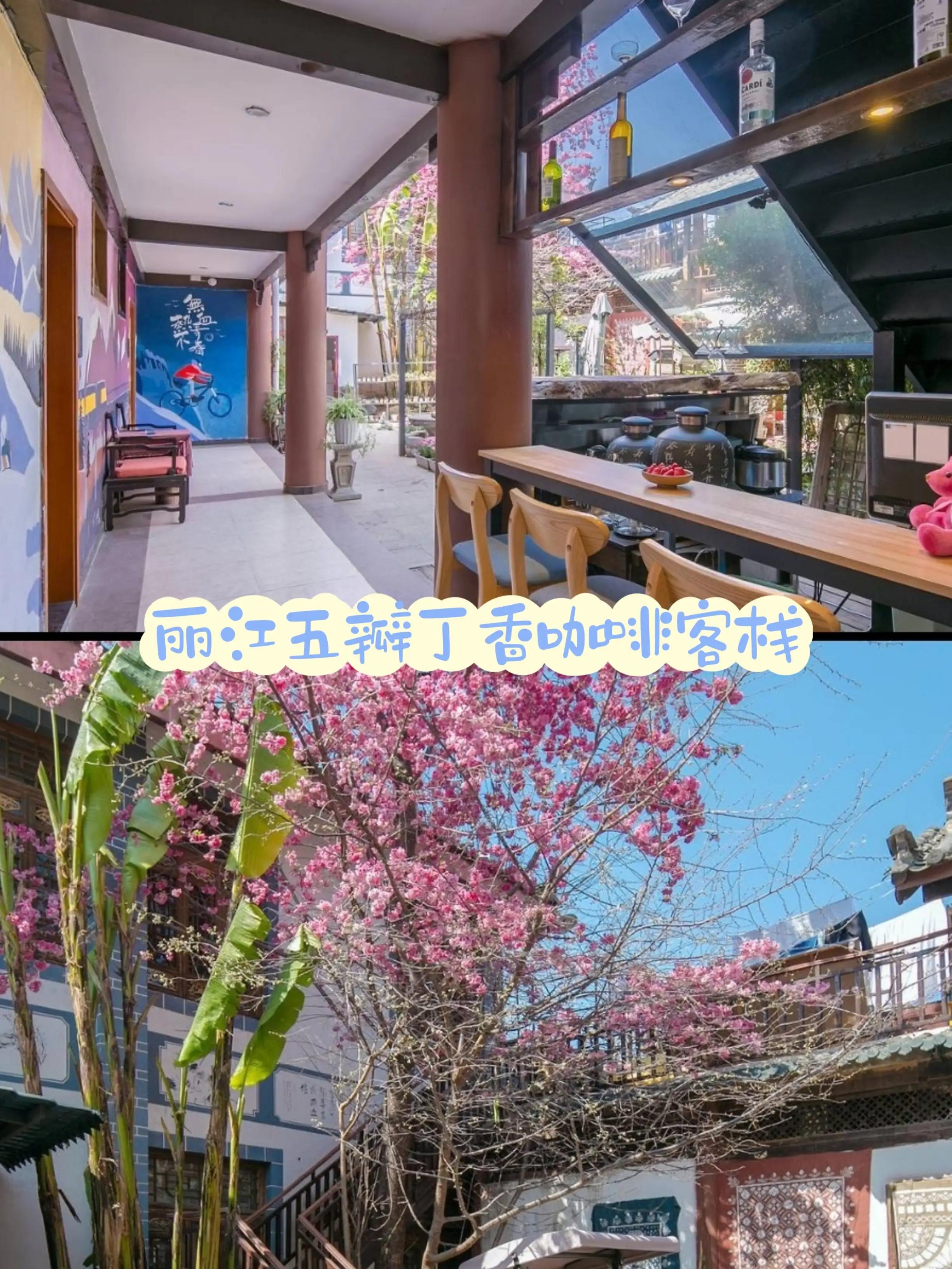 关于丽江那些10元左右的小客栈