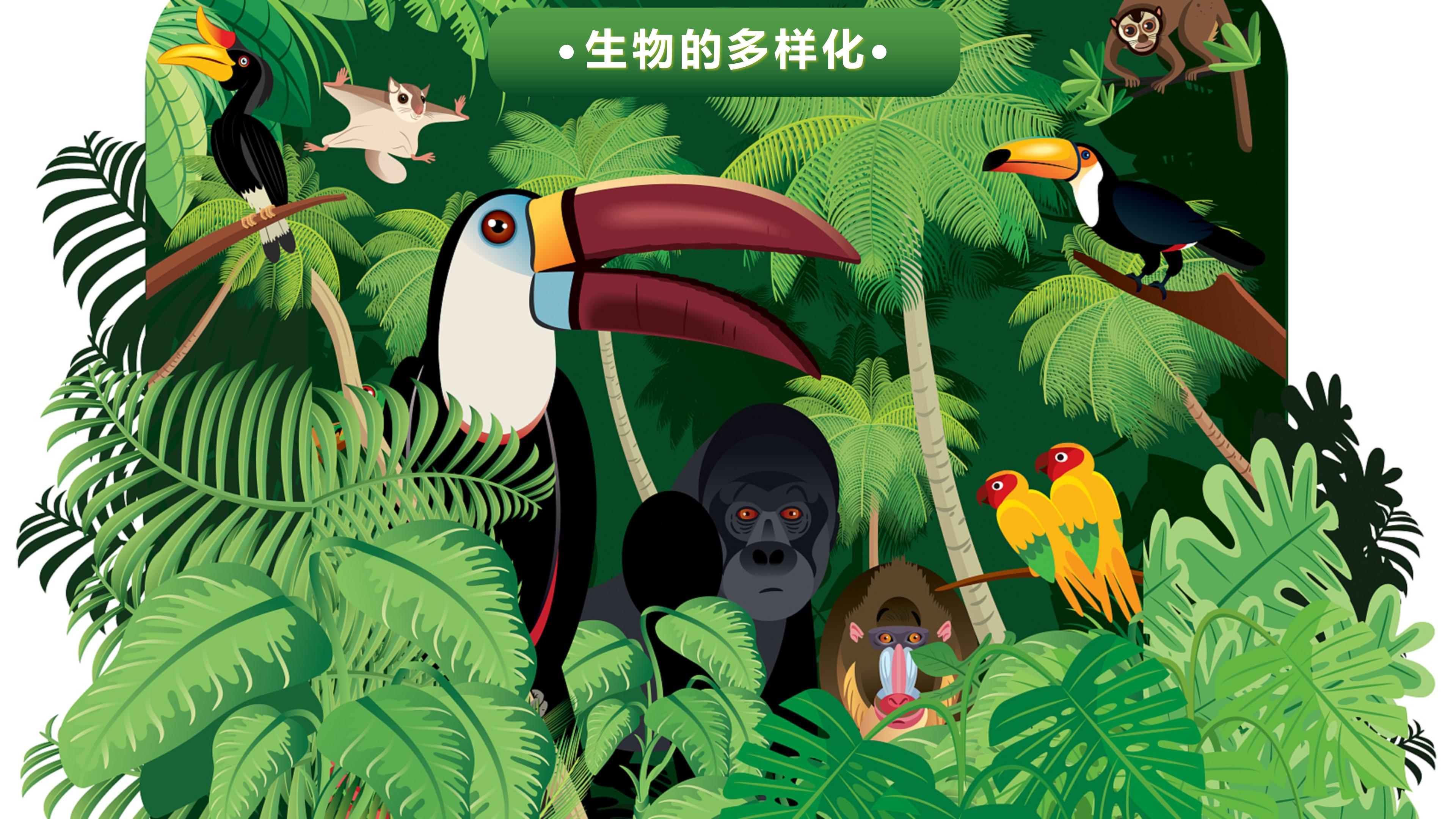 七年级下册地理第九章第二节巴西,七年级下册地理巴西2