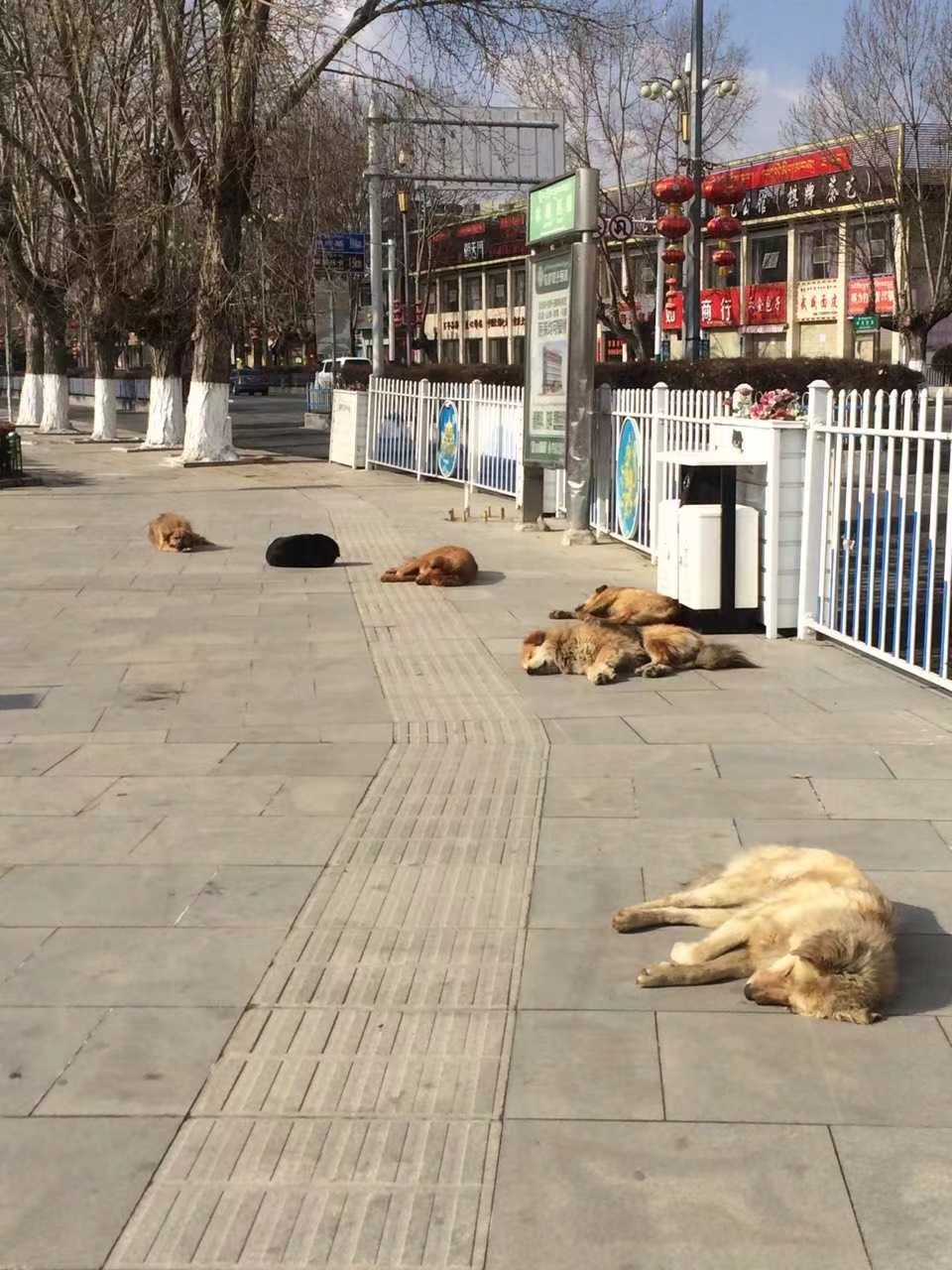 走过*疆新**、内蒙、*藏西**,才知道云南旅游是老天爷赏饭吃了