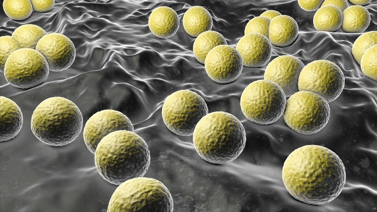 医生能看出黄体破裂的原因吗,什么症状可以判定是黄体破裂