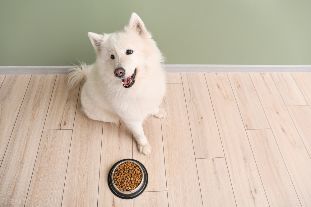 狗狗发蔫嘴张不大,狗狗打肤曲康后发蔫