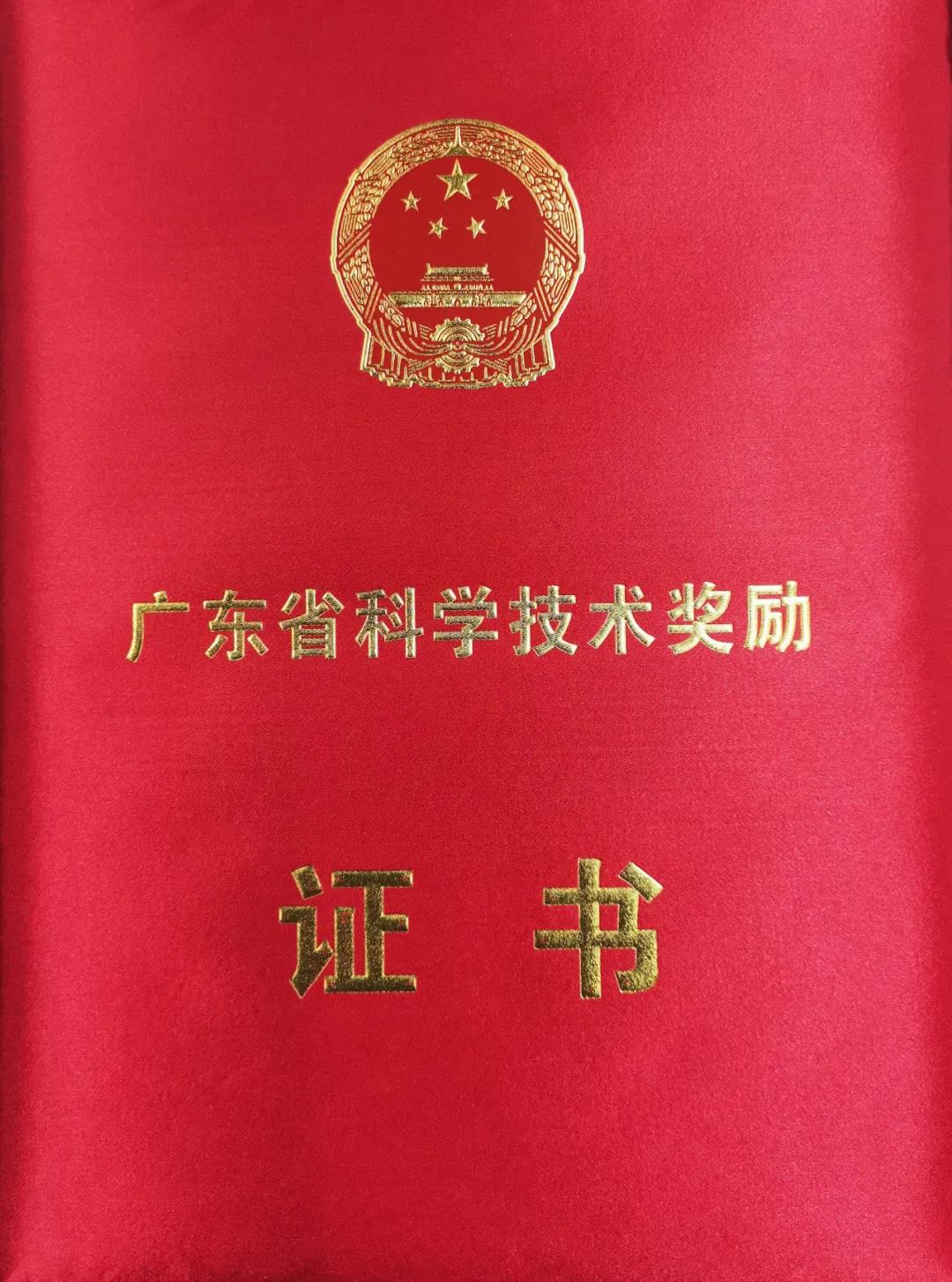 肇庆强盛,广东肇庆的经济发展潜力