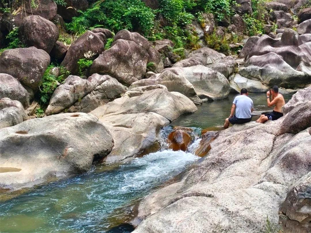 广州从化赏荷花胜地,从化草埔荷花