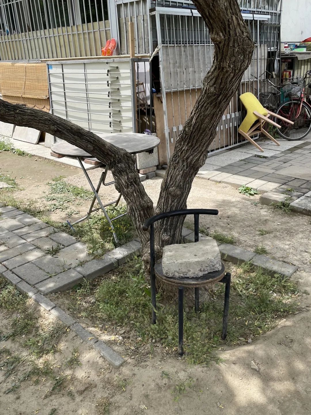 一个人住两个家？她的帝都生活，我羡慕坏了