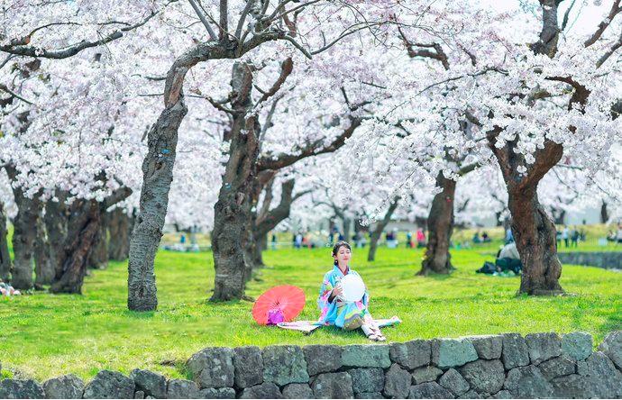 北海道函馆海鲜,北海道便宜海鲜市场