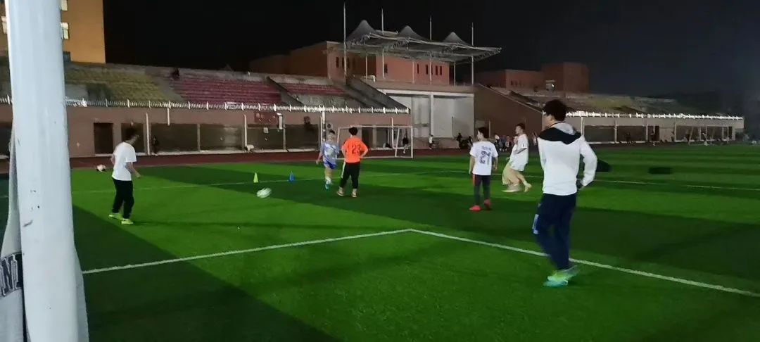 体育社团的基本知识,体育社团活动有哪些